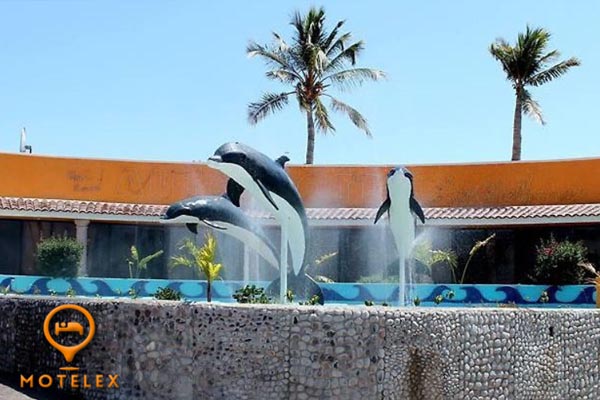 Hotel Delfines